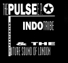 Indo Tribe The Pulse E.P. Digital Single product image